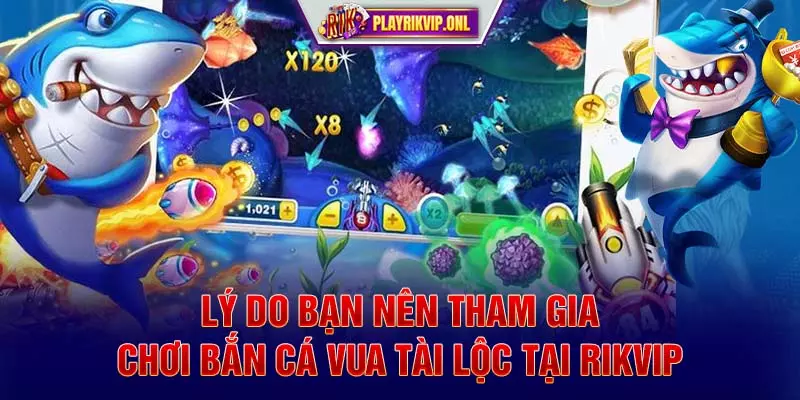 Lý do bạn nên tham gia chơi bắn cá Vua Tài Lộc tại Rikvip